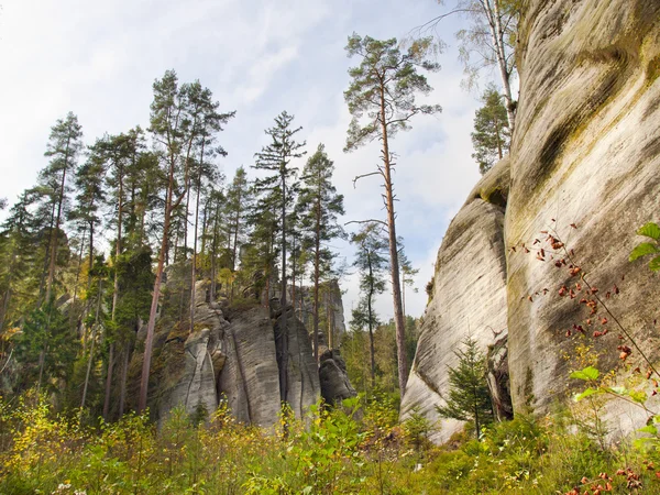 Adrszpach - rock city — Stok fotoğraf