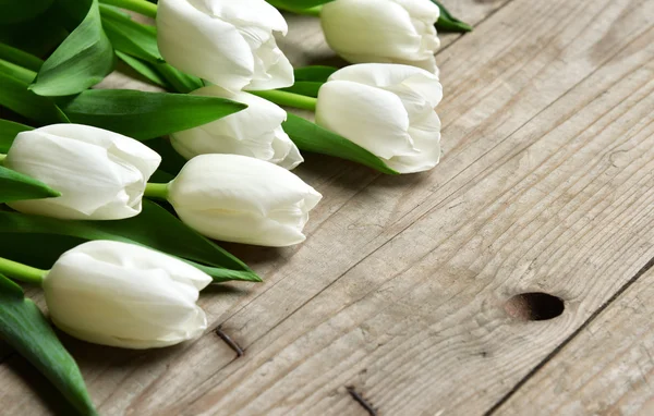 Bunch of fresh white tulip flowers close up composition — Stock Photo, Image