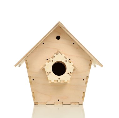 Kuş neasting evi izole ağaçtan 