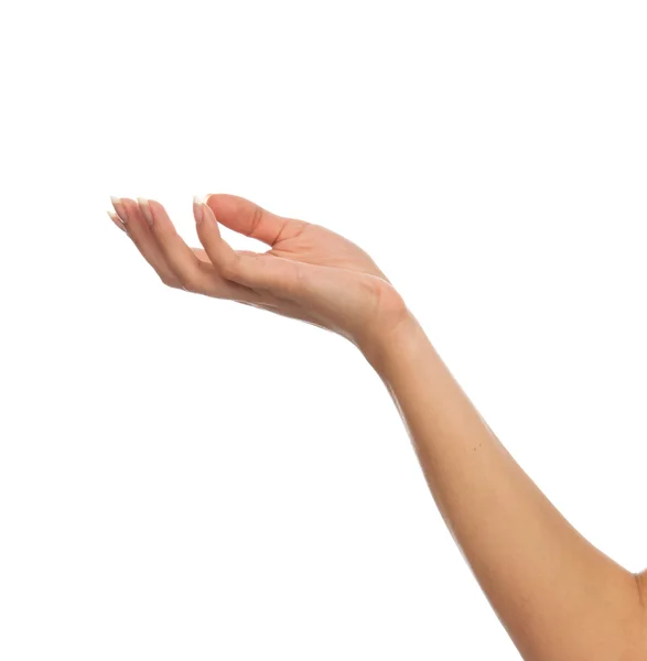 フランス語マニキュアの爪を持つ美しい女性手 — ストック写真