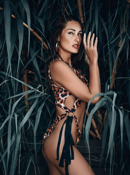 Mujer salvaje sexy en bikini estampado de leopardo está de lado, escondido detrás de las hojas de los árboles tropicales. Vibraciones de verano —  Fotos de Stock