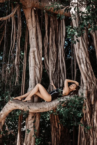 Sexy mujer joven con el pecho grande en traje de baño negro está acostado en una gran rama de árbol en el bosque tropical. Vibraciones de verano — Foto de Stock