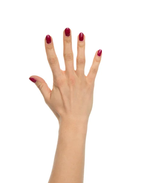 Red manicured female open hand gesture number five fingers up — Stock Photo, Image