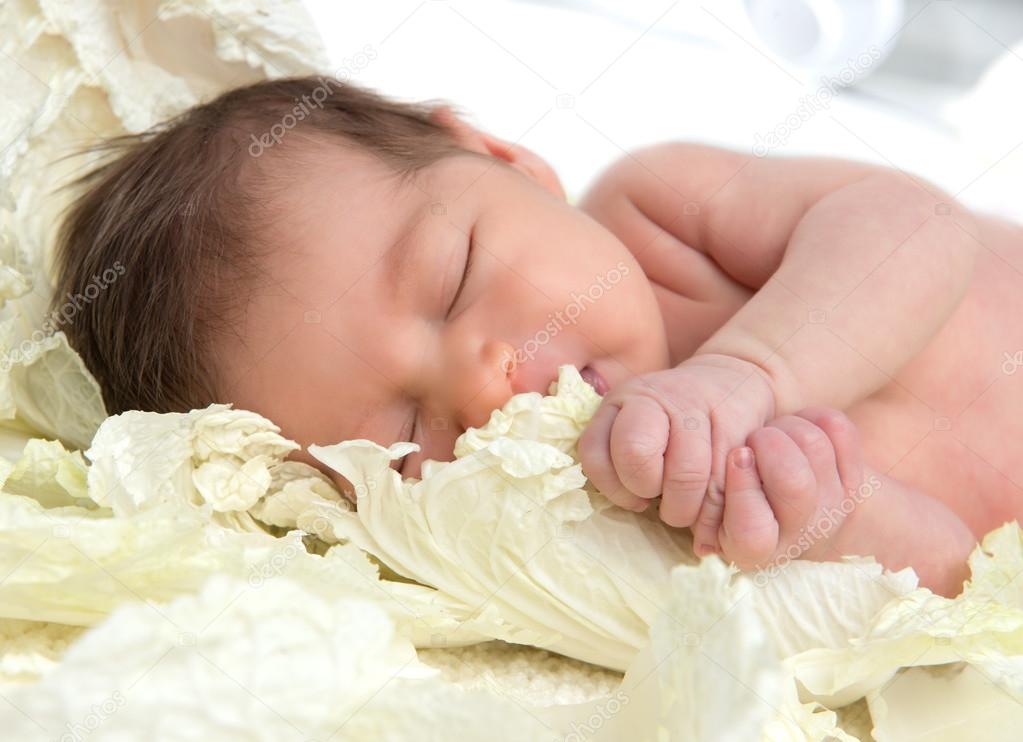 New born infant child baby girl lying and sleeping in cabbage le