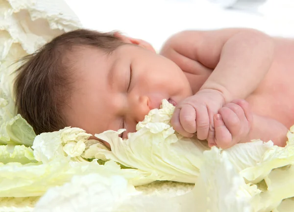 New born infant child baby girl lying and sleeping in cabbage le — Stock Photo, Image