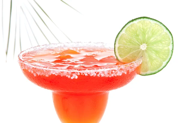 Red Margarita cocktail with mint and lime slice in chilled salt — Stock Photo, Image