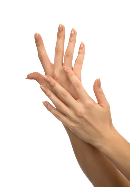 Beautiful woman hands with french manicure nails — Stock Photo, Image