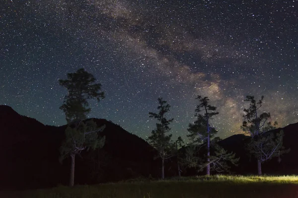 Amazing starry night in the high mountains with falling stars