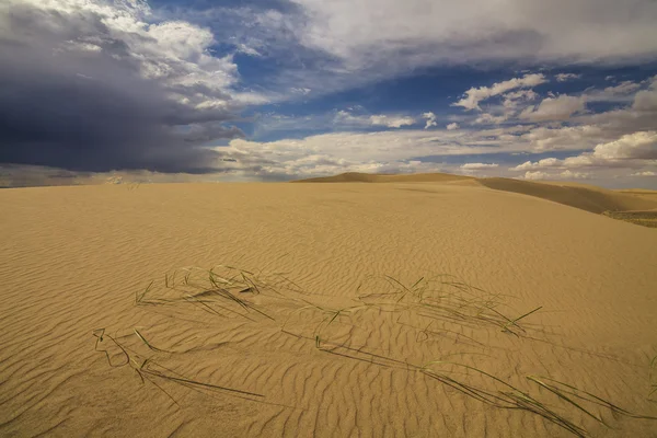 Desert landscape on the background of clouds. The Gobi Desert. M