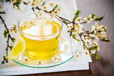 Glass tea cup cherry blossoms. clipart