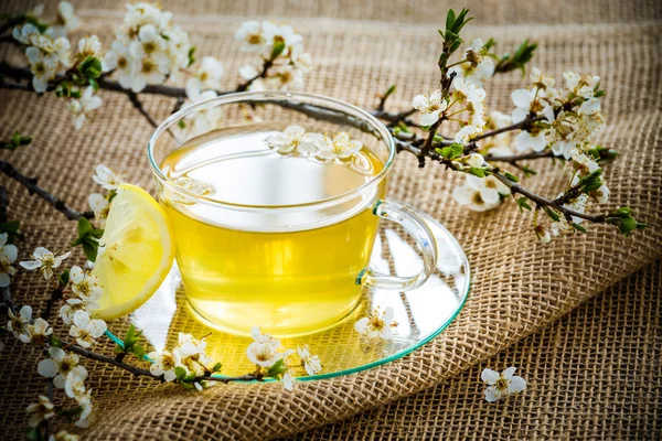 Glas Teetasse Kirschblüten. — Stockfoto