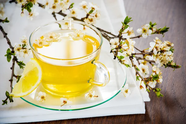 Copo de chá de vidro flores de cereja . Imagem De Stock