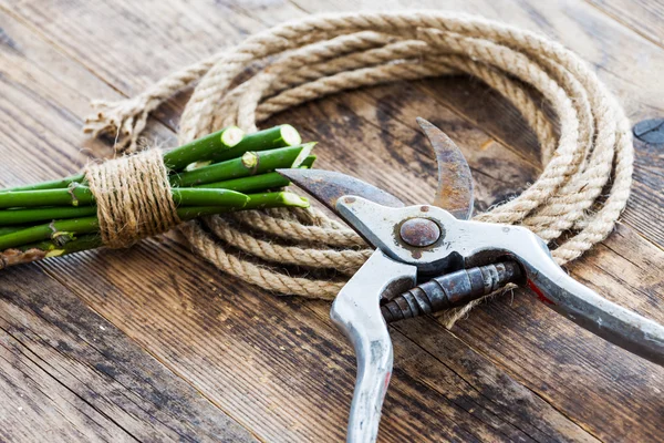 Gartengeräte und Seil auf dem Holztisch. — Stockfoto