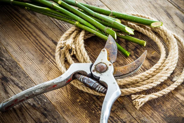 Outils de jardin et corde sur la table en bois . Images De Stock Libres De Droits