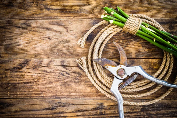 Outils de jardin et corde sur la table en bois . Photos De Stock Libres De Droits