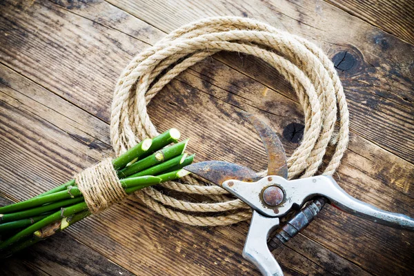 Attrezzi da giardino e corda sul tavolo di legno . Foto Stock