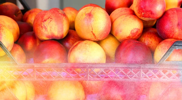 Delicious fresh peaches — Stock Photo, Image