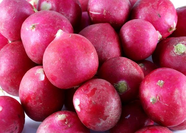 Vegetable radish — Stock Photo, Image