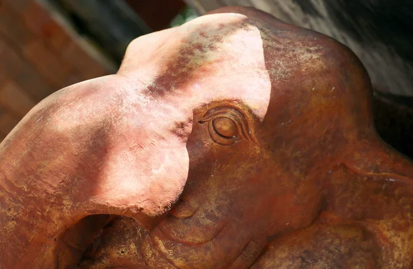 Portrait of elephants — Stock Photo, Image