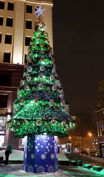 Copac verde de Crăciun — Fotografie, imagine de stoc