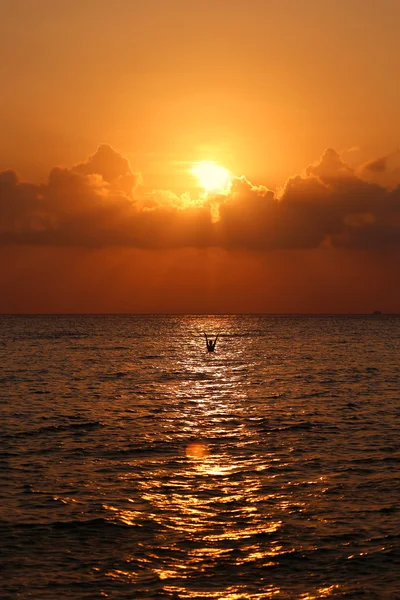 Sunset in the sea — Stock Photo, Image