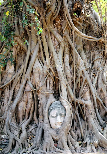 Buddhistischer Tempel — Stockfoto