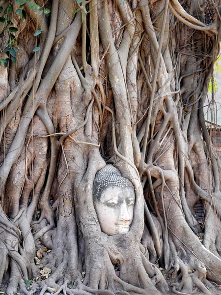 Buddhistischer Tempel — Stockfoto