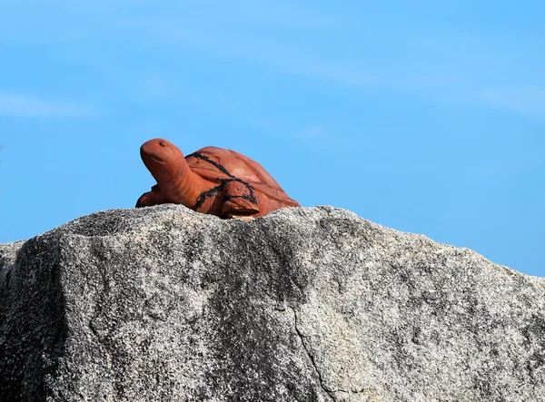 Staty av en sköldpadda — Stockfoto