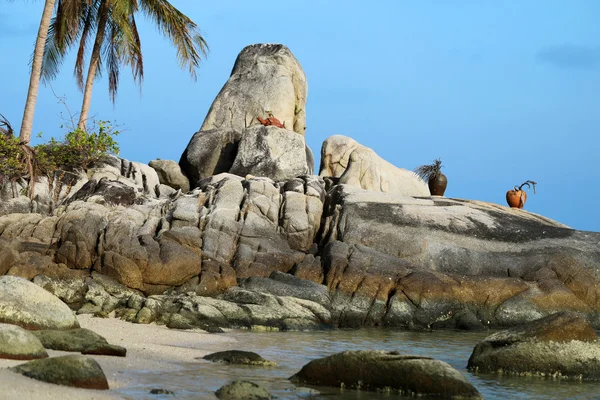 Statue of a turtle — Stock Photo, Image