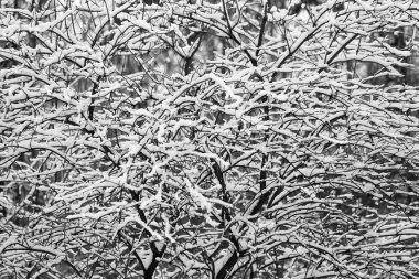 Çeşme taş çiçek