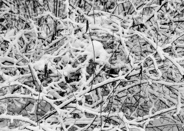 Çeşme taş çiçek