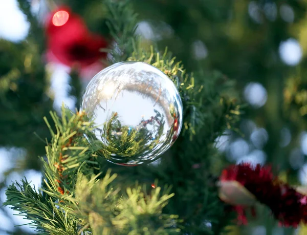 Weihnachtsbaum — Stockfoto