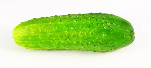 Pepino vegetal saboroso — Fotografia de Stock