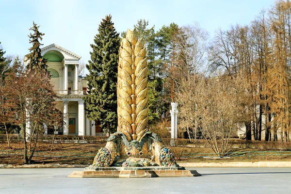 Fontána uši kukuřice — Stock fotografie