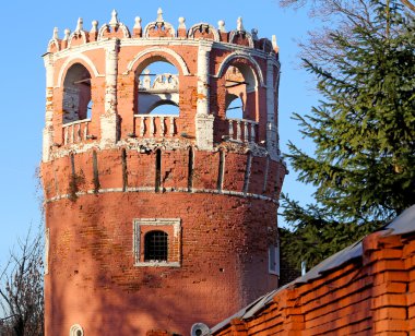 Donskoy Manastırı, Moskova