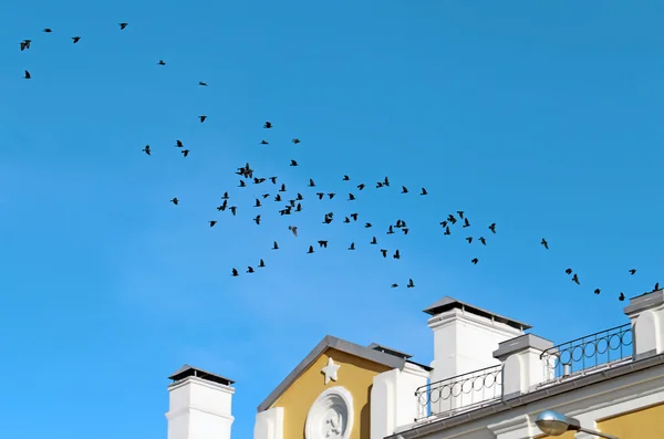 Starý dům ve městě — Stock fotografie