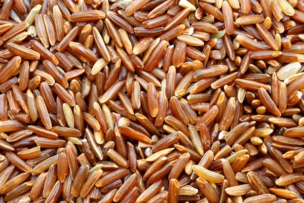 Pyszny ryż czerwony — Zdjęcie stockowe