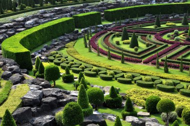 Asya Park tropikal bitki