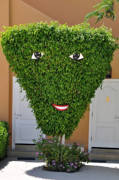 Bush verde con los ojos y una boca de papel —  Fotos de Stock