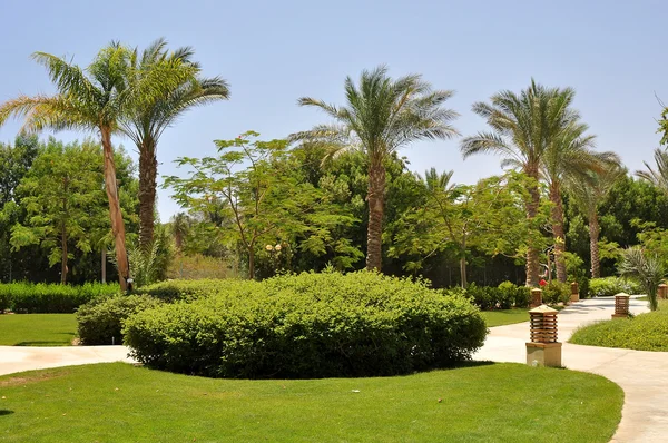 HURGHADA, EGIPTO - 8 de julio de 2012: un hermoso hotel en la bahía de Makadi Bay. Egipto — Foto de Stock