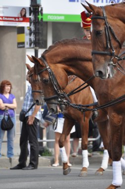 Çelyabinsk, Rusya Federasyonu - Eylül 3,2011: karnaval alayı insan onuruna Chelyabinsk city şehrin ana cadde üzerinde