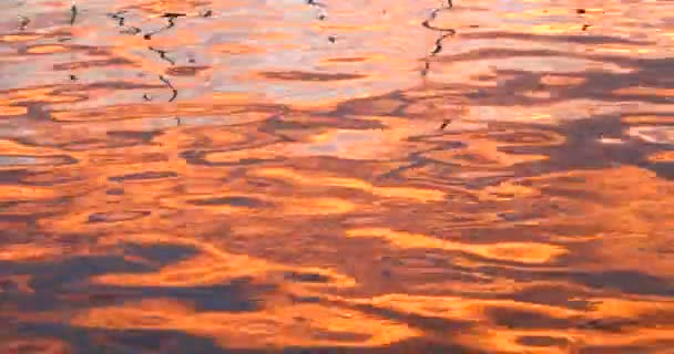 Superficie acqua di mare tramonto luce del sole riflesso — Video Stock