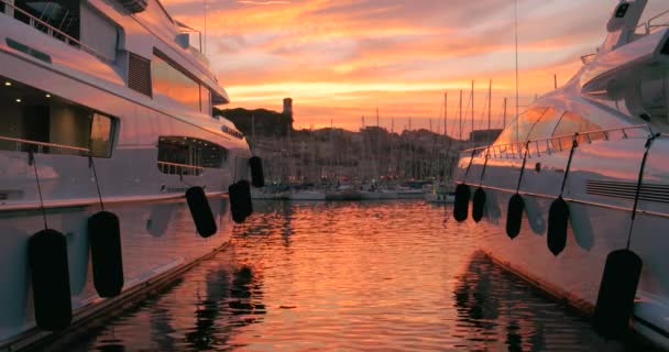 Des yachts chers au festival du film de Cannes, Côte d'Azur, France — Video