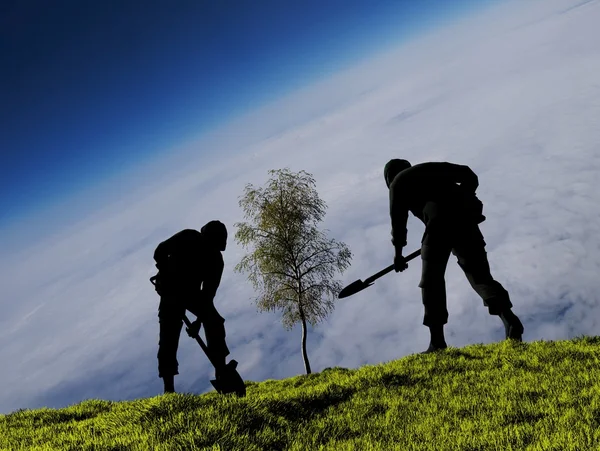 Люди сажают деревья — стоковое фото