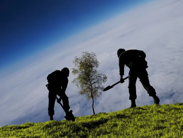 Les gens plantent arbre — Photo