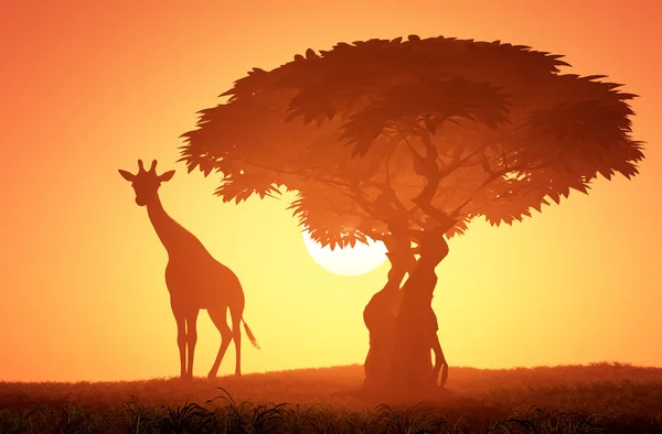 Giraffe 3d render — Stock Photo, Image