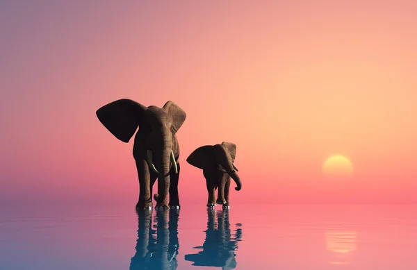 Éléphants., rendu 3d — Photo