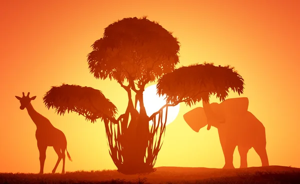 Жирафа та слон — стокове фото
