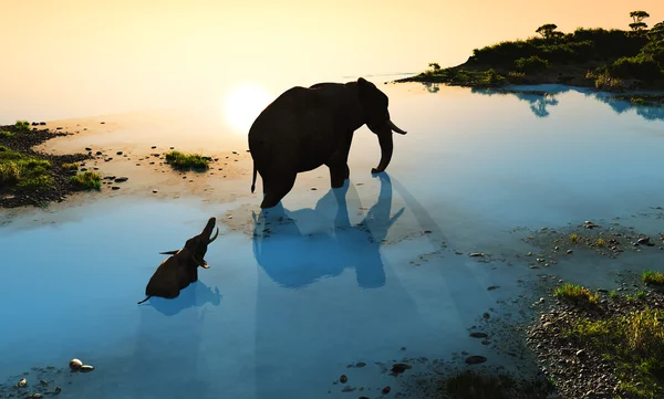 Slon. , 3d vykreslování — Stock fotografie