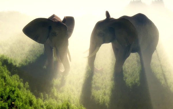 Le troupeau d'éléphants — Photo